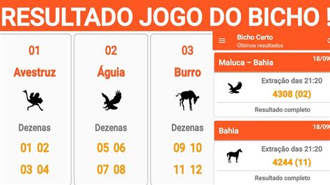 resultado jogo do bicho 9:45 - resultado do bicho 9 horas